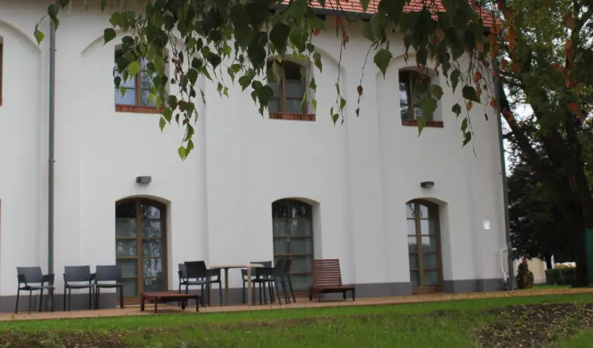 Vadkert Major Srvr - Mjus 1.