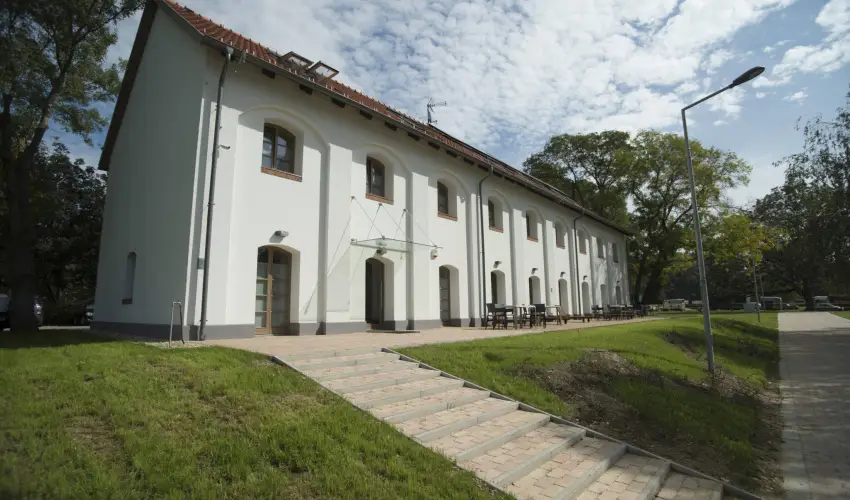 Vadkert Major Srvr - Mjus 1.