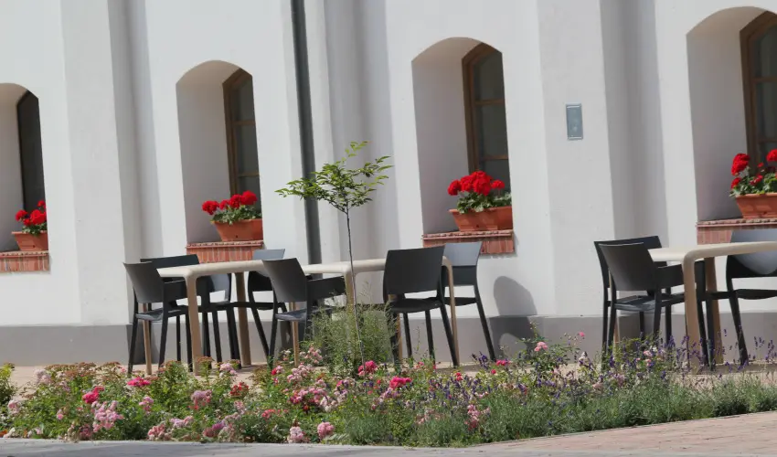 Vadkert Major Srvr - Mjus 1.