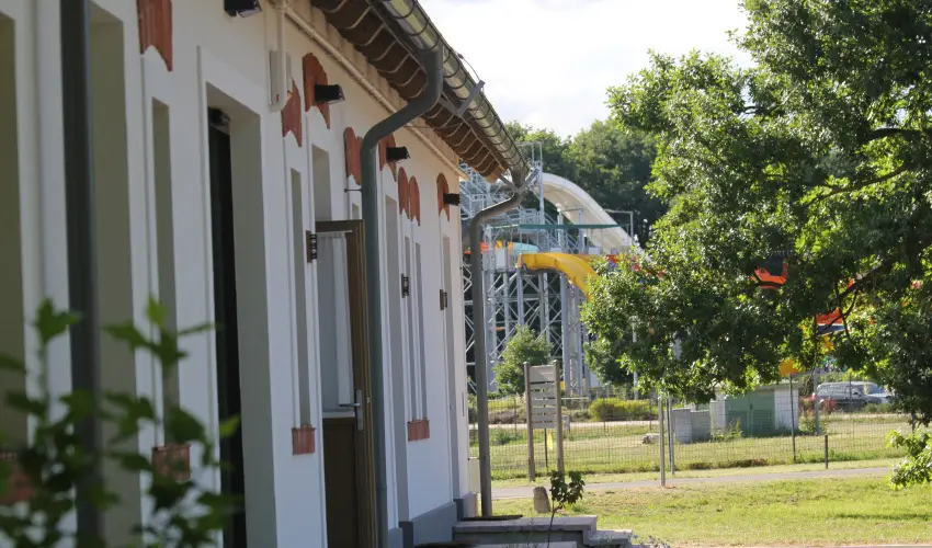 Vadkert Major Srvr - Mjus 1.