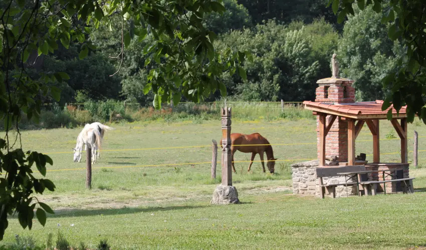 Vadkert Major Srvr - Mjus 1.