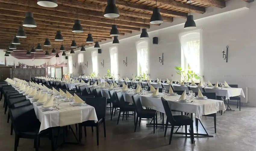 Vadkert Major Srvr - Mjus 1.