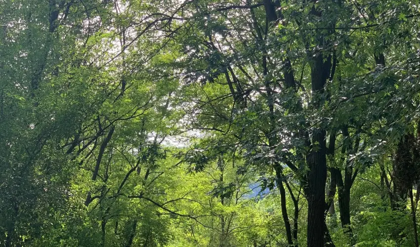 Vr Camping Sirok - Mjus 1. 