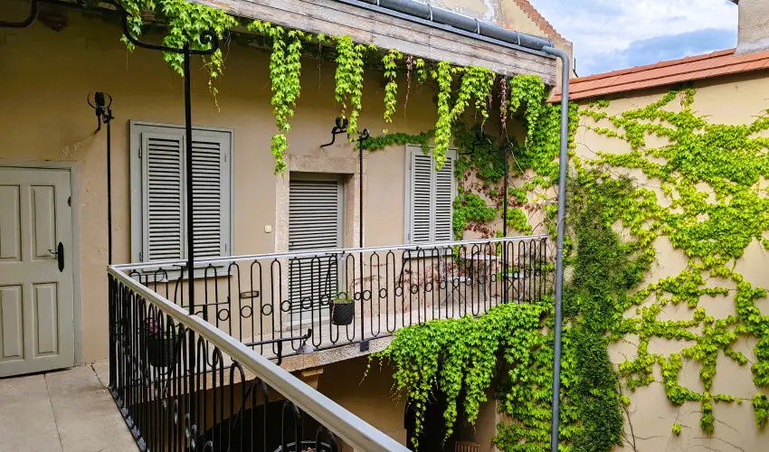 V�rosi Vend�gh�z Szentendre Szentendre - M�jus 1.