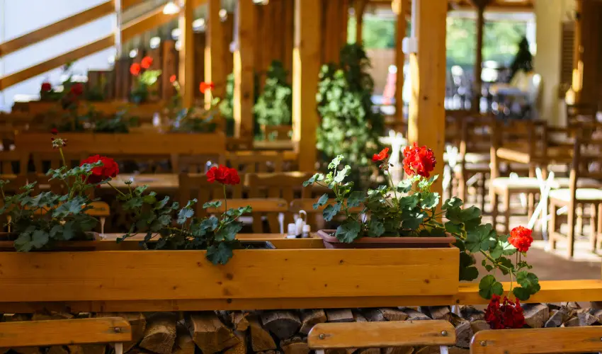 Viktor Bor- s Vendghz Balatonmriafrd - Mjus 1.