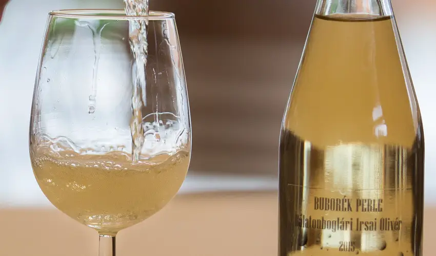 Viktor Bor- s Vendghz Balatonmriafrd - Mjus 1.