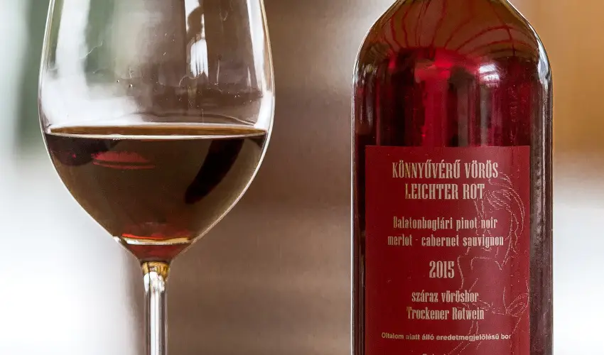 Viktor Bor- s Vendghz Balatonmriafrd - Mjus 1.