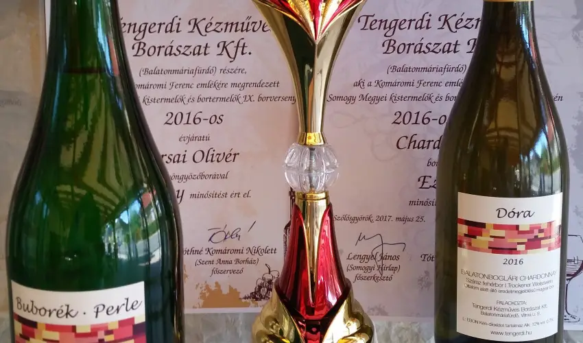 Viktor Bor- s Vendghz Balatonmriafrd - Mjus 1.