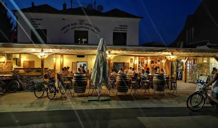 Viktor Bor- s Vendghz Balatonmriafrd - Mjus 1.