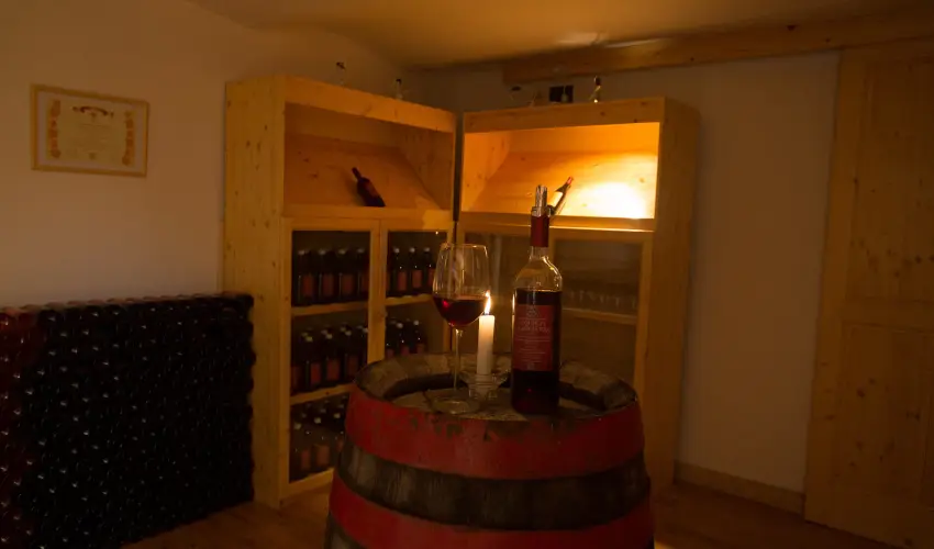 Viktor Bor- s Vendghz Balatonmriafrd - Mjus 1.