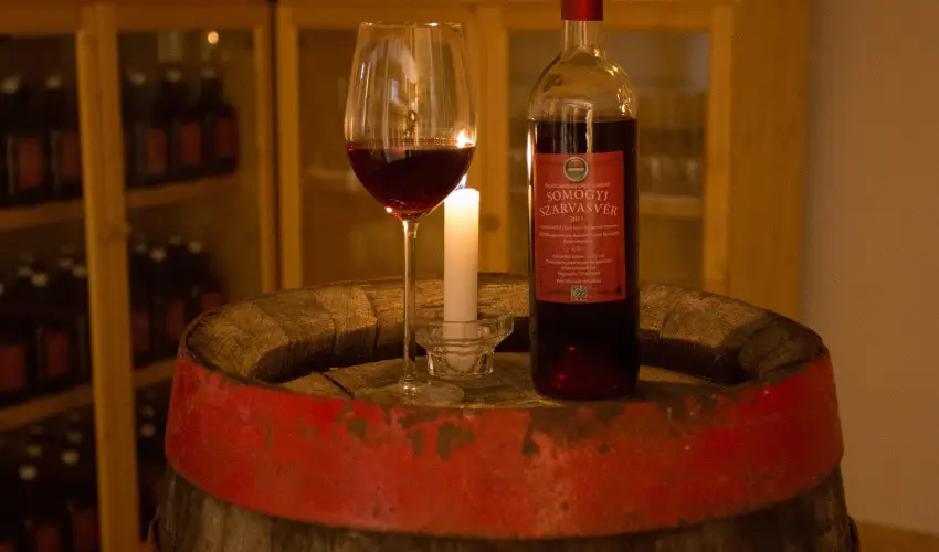 Viktor Bor- s Vendghz Balatonmriafrd - Mjus 1.