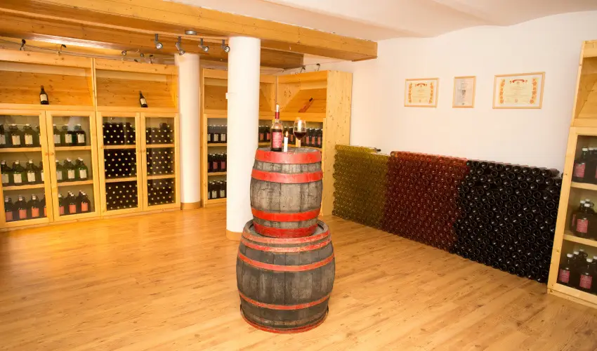 Viktor Bor- s Vendghz Balatonmriafrd - Mjus 1.