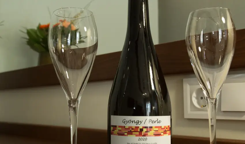 Viktor Bor- s Vendghz Balatonmriafrd - Mjus 1.