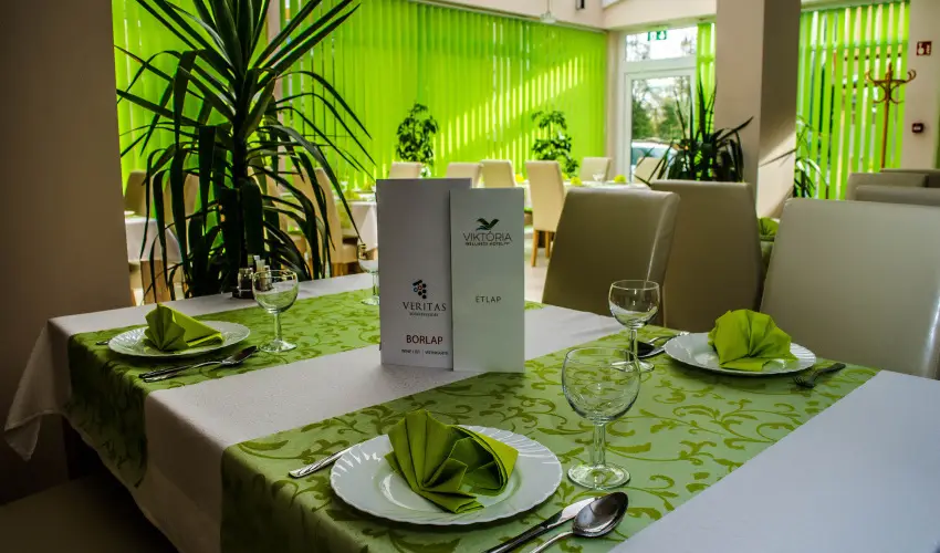 Wellness Hotel Viktria Nagyatd - Mjus 1.