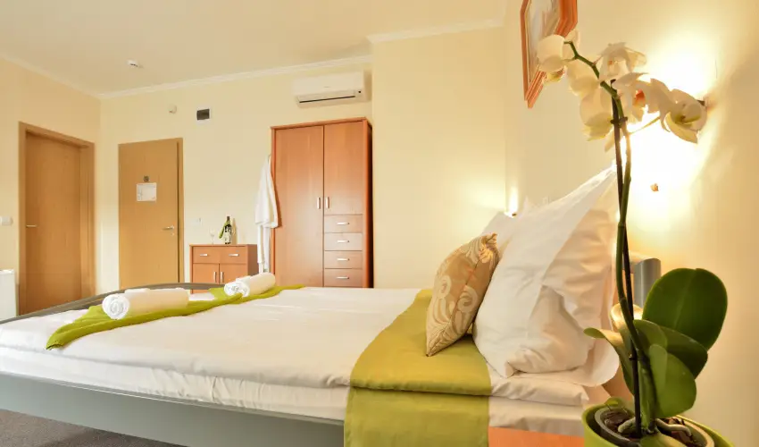 Wellness Hotel Viktria Nagyatd - Mjus 1.