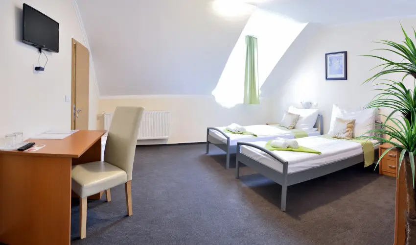 Wellness Hotel Viktria Nagyatd - Mjus 1.