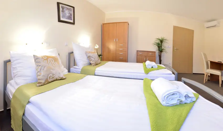 Wellness Hotel Viktria Nagyatd - Mjus 1.