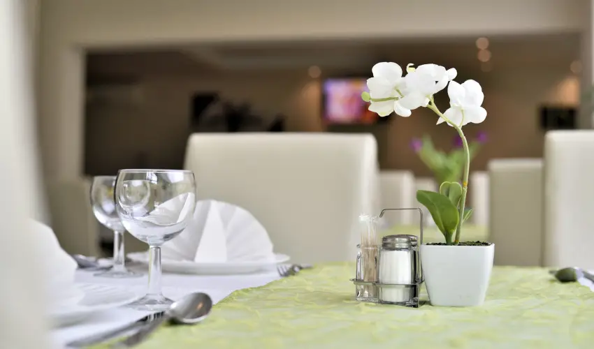 Wellness Hotel Viktria Nagyatd - Mjus 1.