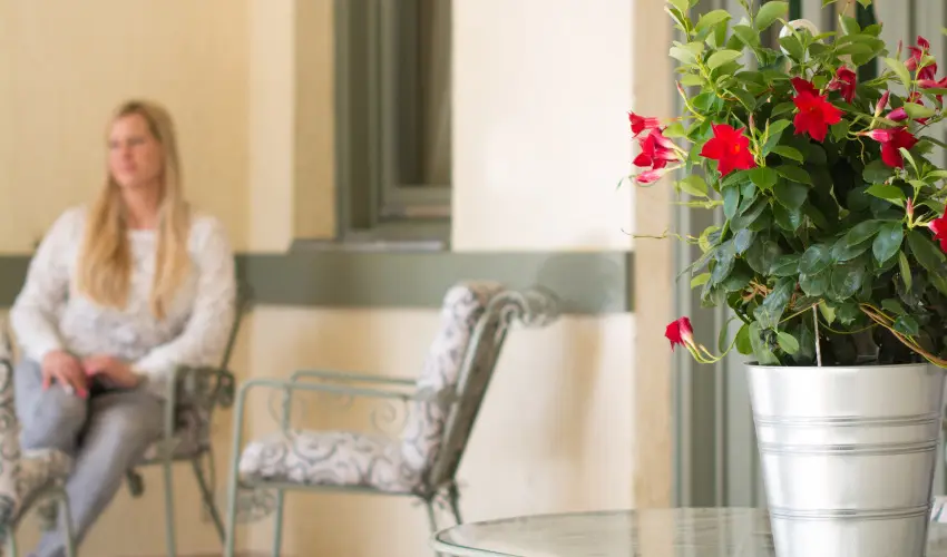 Villa Oliva Boutique Rooms Zamrdi - Mjus 1. (min. 2 j)