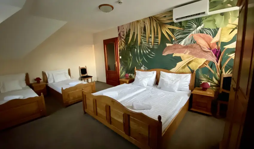 Hotel Villa Park Szilvsvrad - Mjus 1. (min. 2 j)