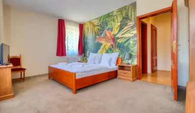 Hotel Villa Park Szilvsvrad