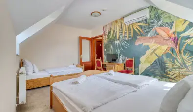 Hotel Villa Park Szilvsvrad