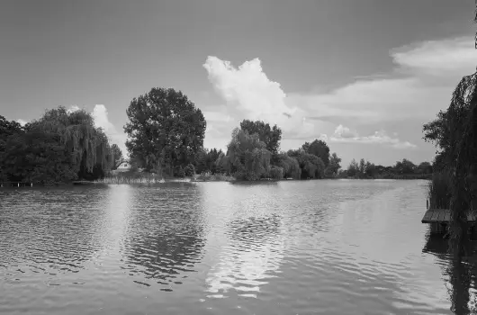 Virg dlhz - Mjus 1. (min. 2 j)