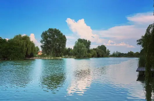 Virg dlhz - Mjus 1. (min. 2 j)