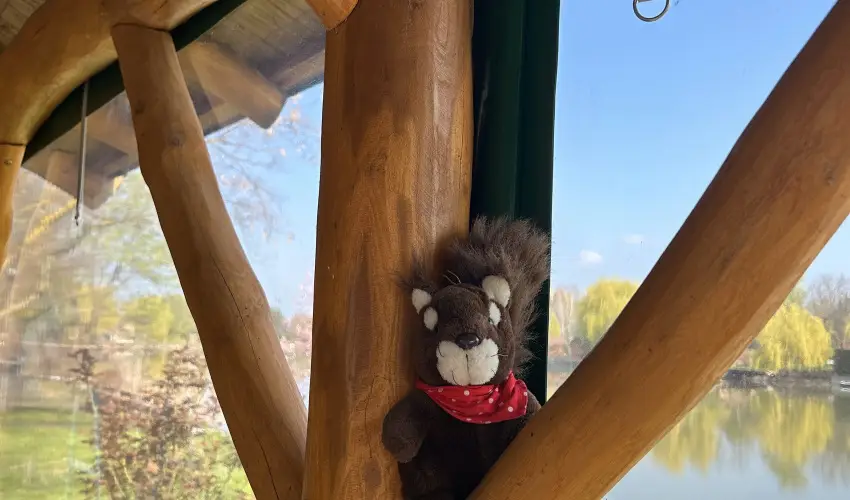 Virg dlhz Szarvas - Mjus 1. (min. 2 j)