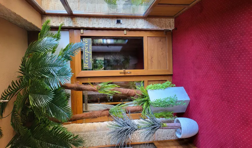 Vrs lom Apartman Panzi Tiszakcske Tiszakcske - Mjus 1.