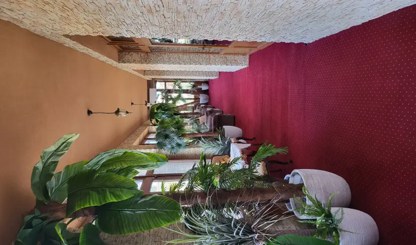 Vrs lom Apartman Panzi Tiszakcske Tiszakcske - Mjus 1.