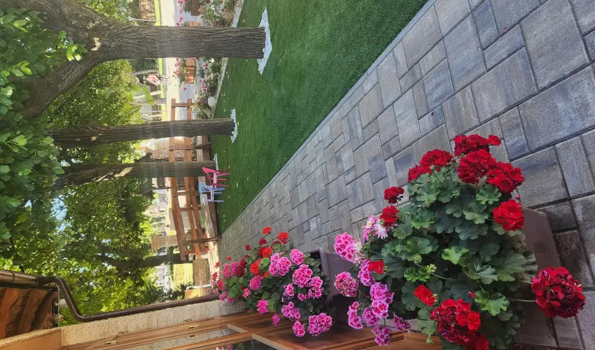 Vrs lom Apartman Panzi Tiszakcske Tiszakcske - Mjus 1.