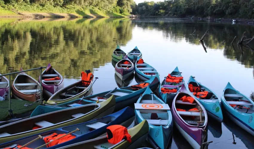 Vrs lom Apartman Panzi Tiszakcske Tiszakcske - Mjus 1.