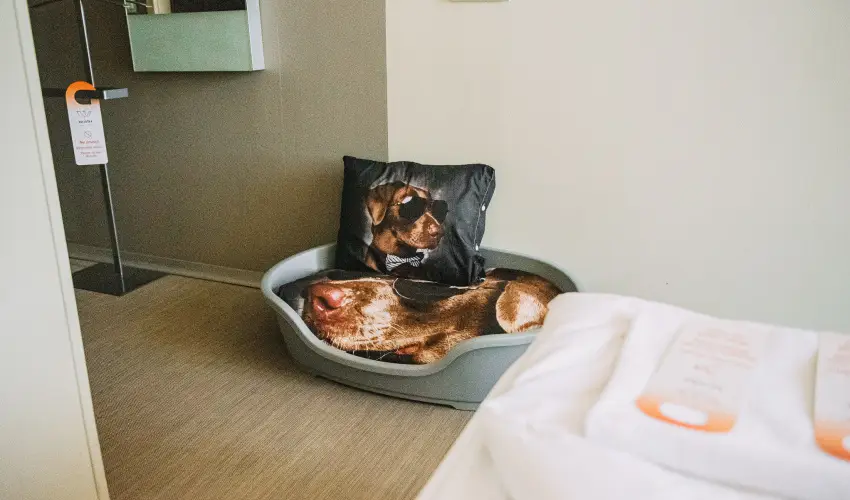 Wabi Hotel Sopron - Mjus 1. 