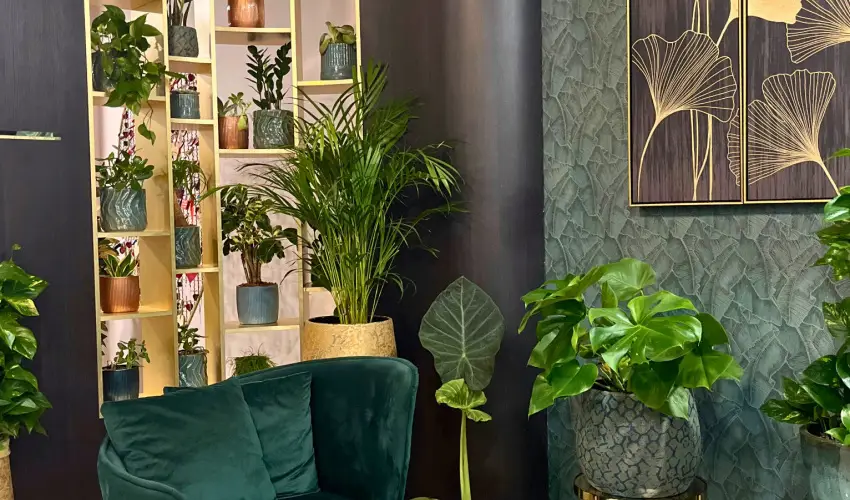 Hotel Wellamarin Zamrdi - Majlis (min. 2 j)