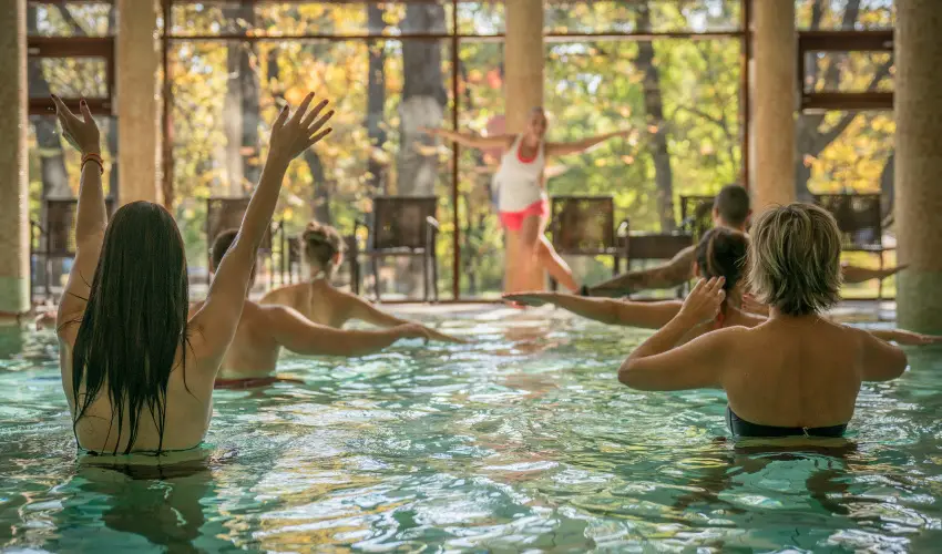 Wellness Hotel Gyula Gyula - Majlis (min. 3 j)