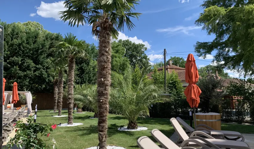 Wellness Hotel Gyula Gyula - Majlis (min. 3 j)