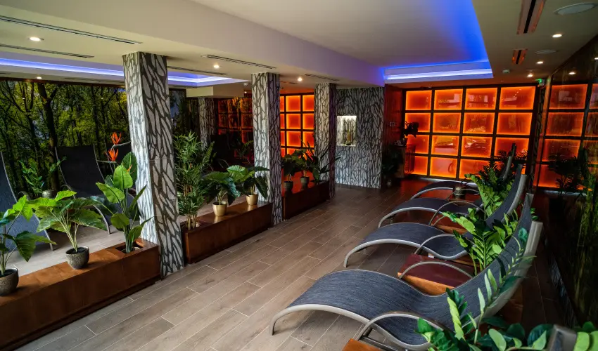 Wellness Hotel Gyula Gyula - Maj�lis (min. 2 �j)