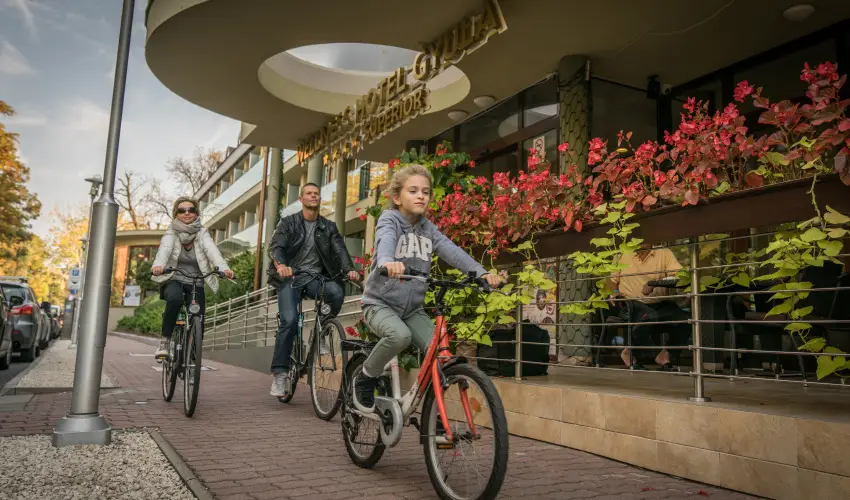 Wellness Hotel Gyula Gyula - Majlis (min. 3 j)