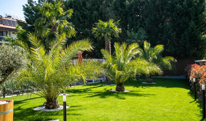 Wellness Hotel Gyula Gyula - Maj�lis (min. 2 �j)