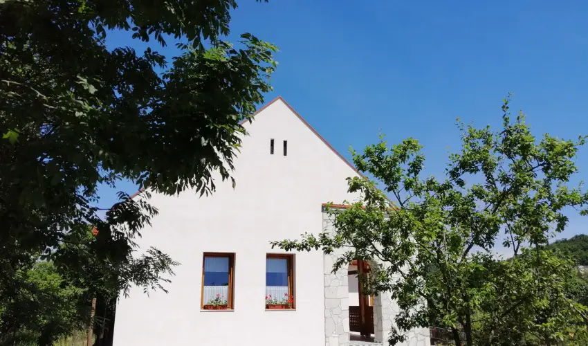 Zempl�ni T�nd�rkert Vend�gh�z F�z�rkoml�s - M�jus 1. (min. 2 �j)