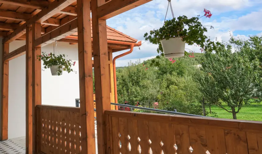 Zempl�ni T�nd�rkert Vend�gh�z F�z�rkoml�s - M�jus 1. (min. 2 �j)