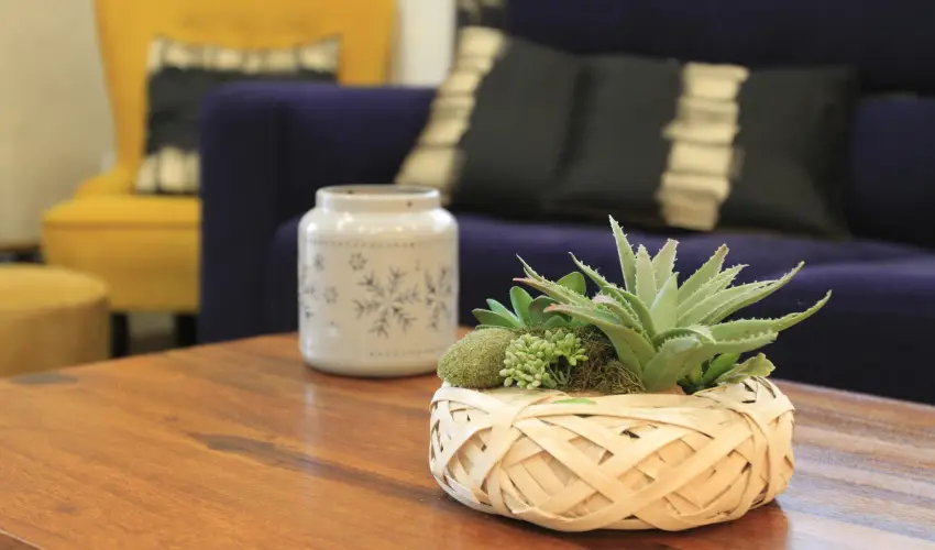 Zenit Panzi Miskolctapolca - Mjus 1. 