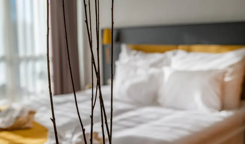 Zsry Liget Hotel & Spa Mezkvesd - Mjus 1.