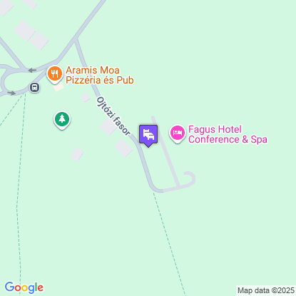 Fagus Hotel a trkpen