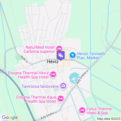 Palace Hotel  a trkpen